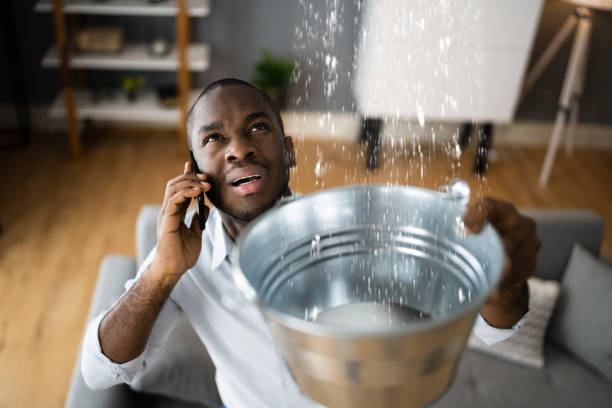 Best Flood damage cleanup  in Lancaster, TX