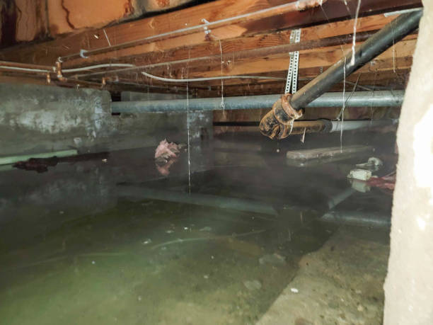 Best Emergency water damage restoration  in Lancaster, TX