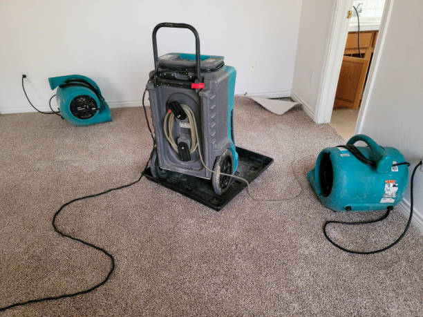 Best Water damage restoration company  in Lancaster, TX