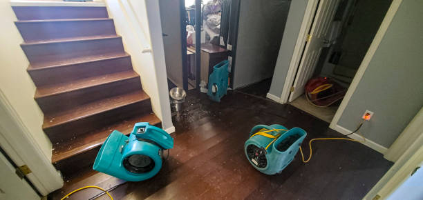 Best Mold removal after water damage  in Lancaster, TX