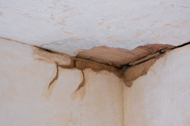 Best Flood restoration services  in Lancaster, TX