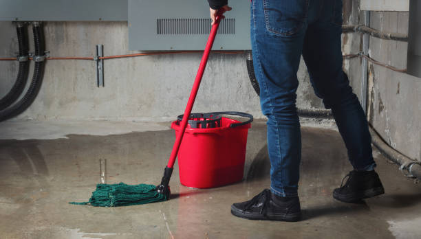 Best Professional water damage repair  in Lancaster, TX
