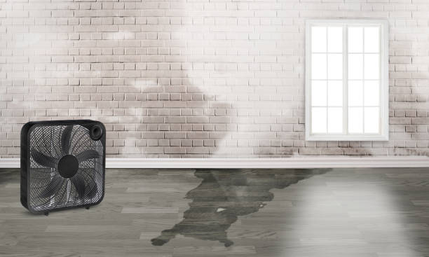Best Water damage restoration near me  in Lancaster, TX