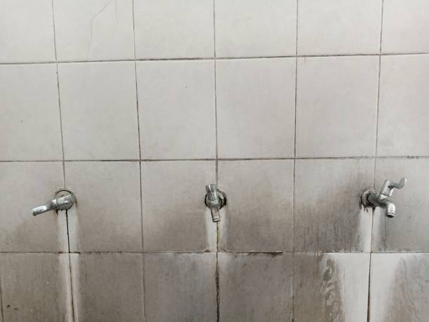 Best Ceiling water damage repair  in Lancaster, TX